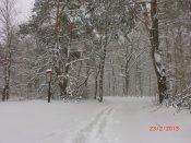 Zima v Mašovicích